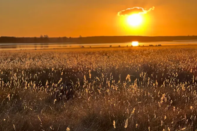 Atardecer uruguay campo